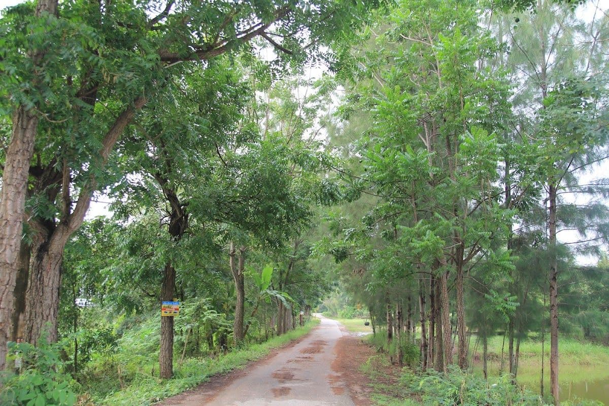 Ratchaburi
