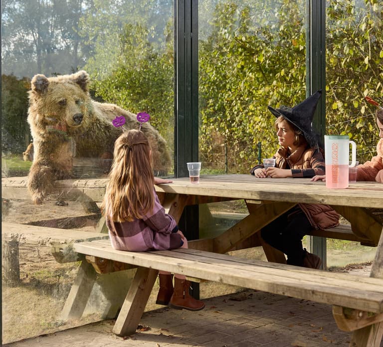 Eindhoven Zoo Entry Ticket