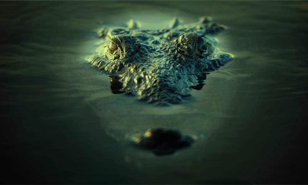 TPMW - Port Douglas and Mossman Gorge Day Tour