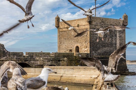 Essaouira and its Medina tour
