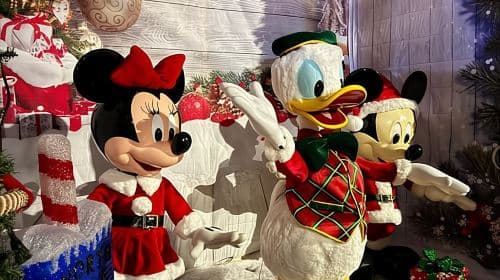 4-Hour Brooklyn Christmas Magic Tour Day Tours