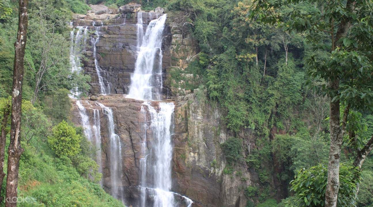 Tour di 2 giorni a Nuwara Eliya da Colombo