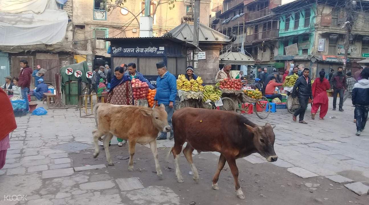 Kathmandu Bazaar Walking Tour