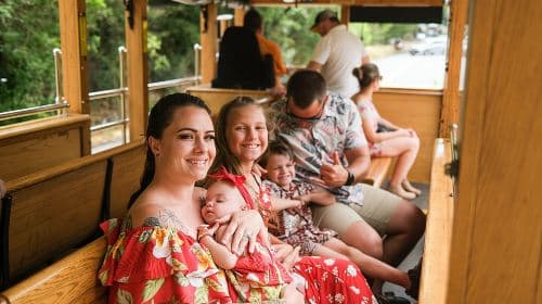 Waikiki Trolley Hop-On Hop-Off Tour of Honolulu Day Tours