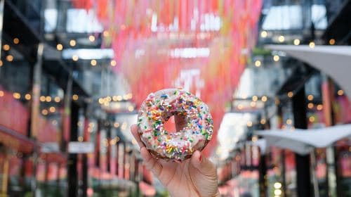 Delicious Donuts of Downtown DC: A Sweet City Experience Day Tours