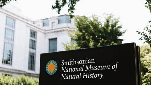 Smithsonian Museum of Natural History - Exclusive Guided Tour 