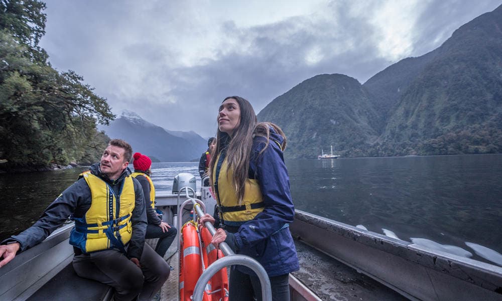 Doubtful Sound Overnight Cruise and Coach from Manapouri