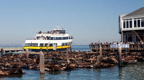 San Francisco Bay Cruise Day Tours