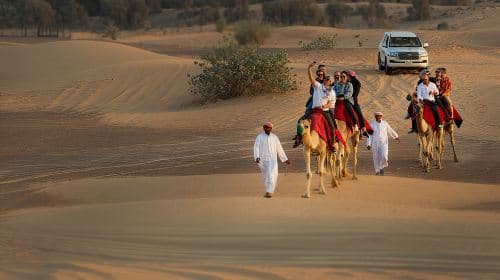 High Red Dunes with Camel Ride, Sandboarding, Falcon Show and VIP BBQ Dinner Day Tours