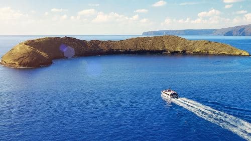 Molokini and Turtle Town Snorkel Adventure aboard Pride of Maui