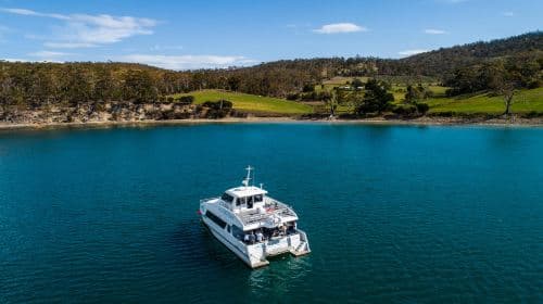 Hobart, Tasmania seafood cruise (freshly harvested sea urchin, tasting lobster, abalone, Atlantic salmon, and wine) Transport Passes