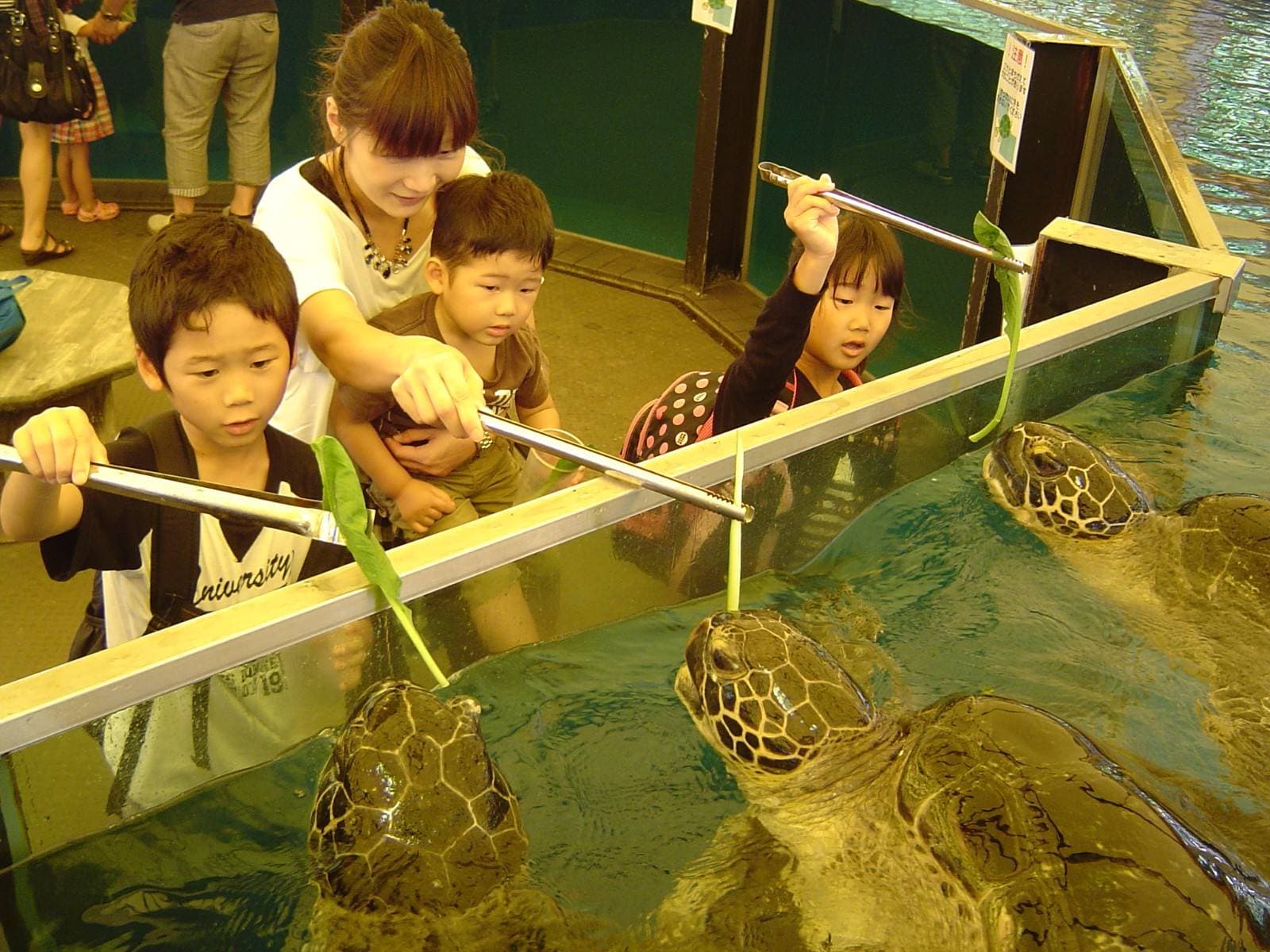Echizen Matsushima Aquarium
