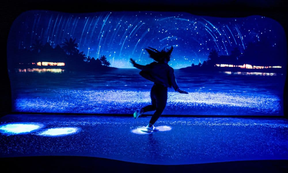 Phillip Island Wildlife and Brighton Beach Boxes Bus Tour