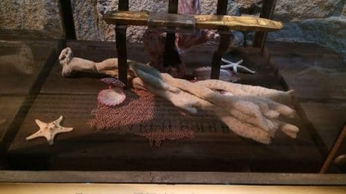 Da Orlando: Tour di St. Augustine e del Pirate & Treasure Museum