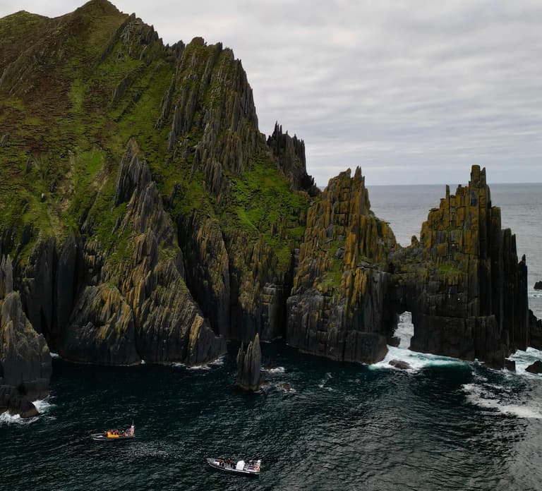 Dingle: Wonders of Blasket Islands Sea Life Boat Tour