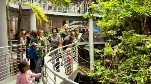 California Academy of Sciences
