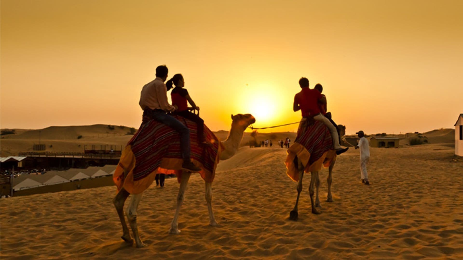 Kameelrijtocht in Abu Dhabi