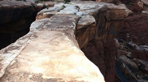 Canyonlands National Park Half-Day Tour from Moab Day Tours