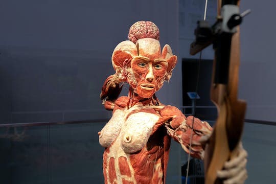 BODY WORLDS Heidelberg entrance tickets