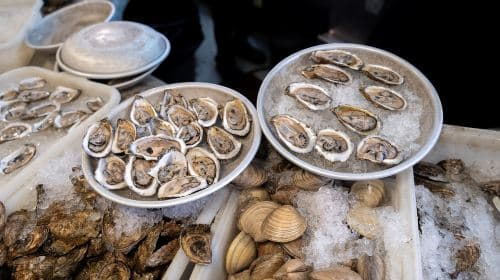 Boston: Guided Seafood Tasting and History Tour Day Tours
