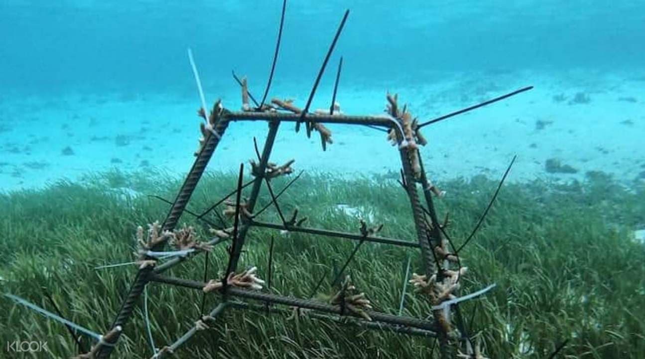 The Original Villimale Eco Walking Tour