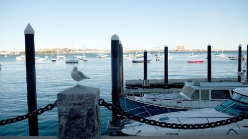 Boston Harbor