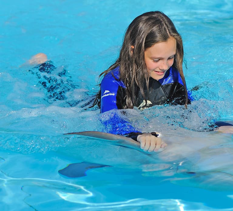 Algarve Zoomarine Ticket and Dolphin Emotions Experience