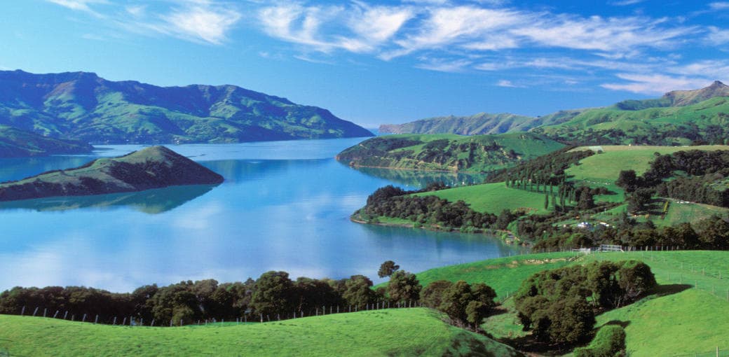 Akaroa Harbour Nature Cruise