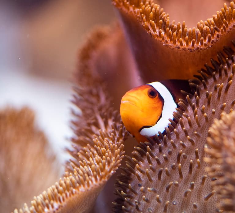 Munich: Day Ticket to Sea Life