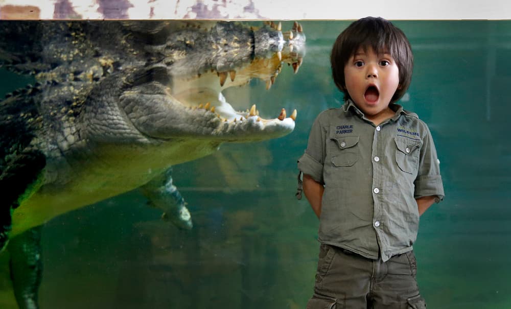 Entradas para Ballarat Wildlife Park