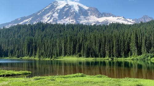 Mt. Rainier Tour and Guided Hike Day Tours