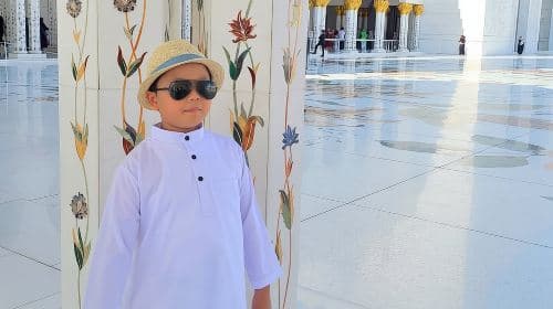 Abu Dhabi City Tour of Grand Mosque, Palace, Louvre, and Ferrari Day Tours