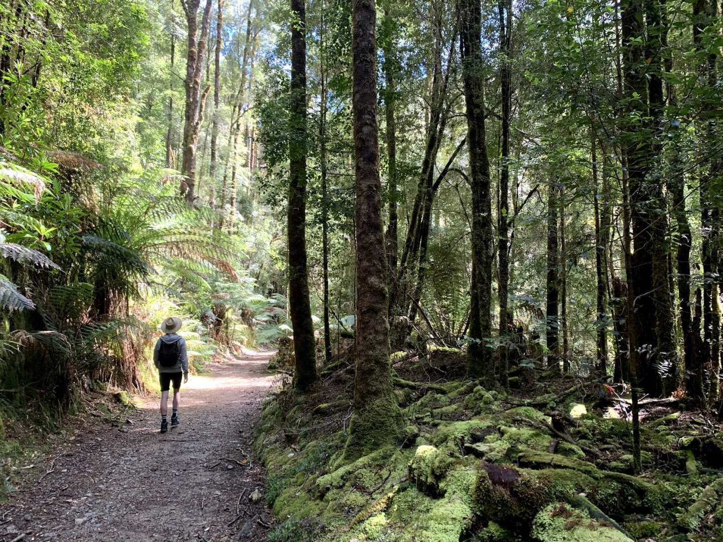 5D4N Tassie 5 Tasmania Tour from Hobart | Australia