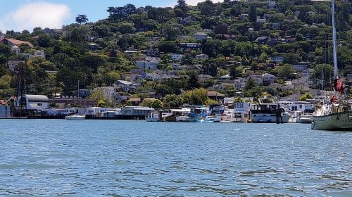  Muir Woods and Sausalito Morning Tour Small-Group Half Day Day Tours