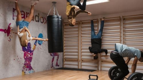 Miami: Paradox Museum Toegangsticket Dagtochten