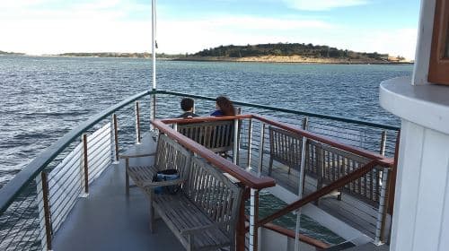Boston Harbor Fall Foliage Weekend Brunch Cruise Day Tours