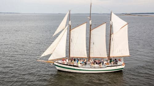 Charleston: Schooner Sailing Experience & Dolphin Watch Day Tours