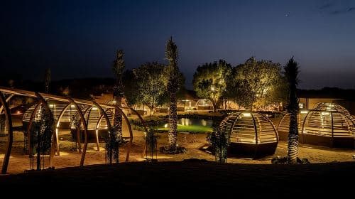 Dubai: Luxury Desert Safari with Michelin-Curated Fine Dining Day Tours