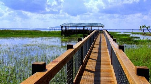 Wild Florida roundtrip transportation only