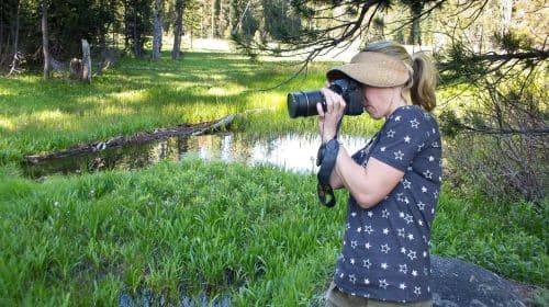 Yosemite Valley photo safari audio tour with the classic sites
