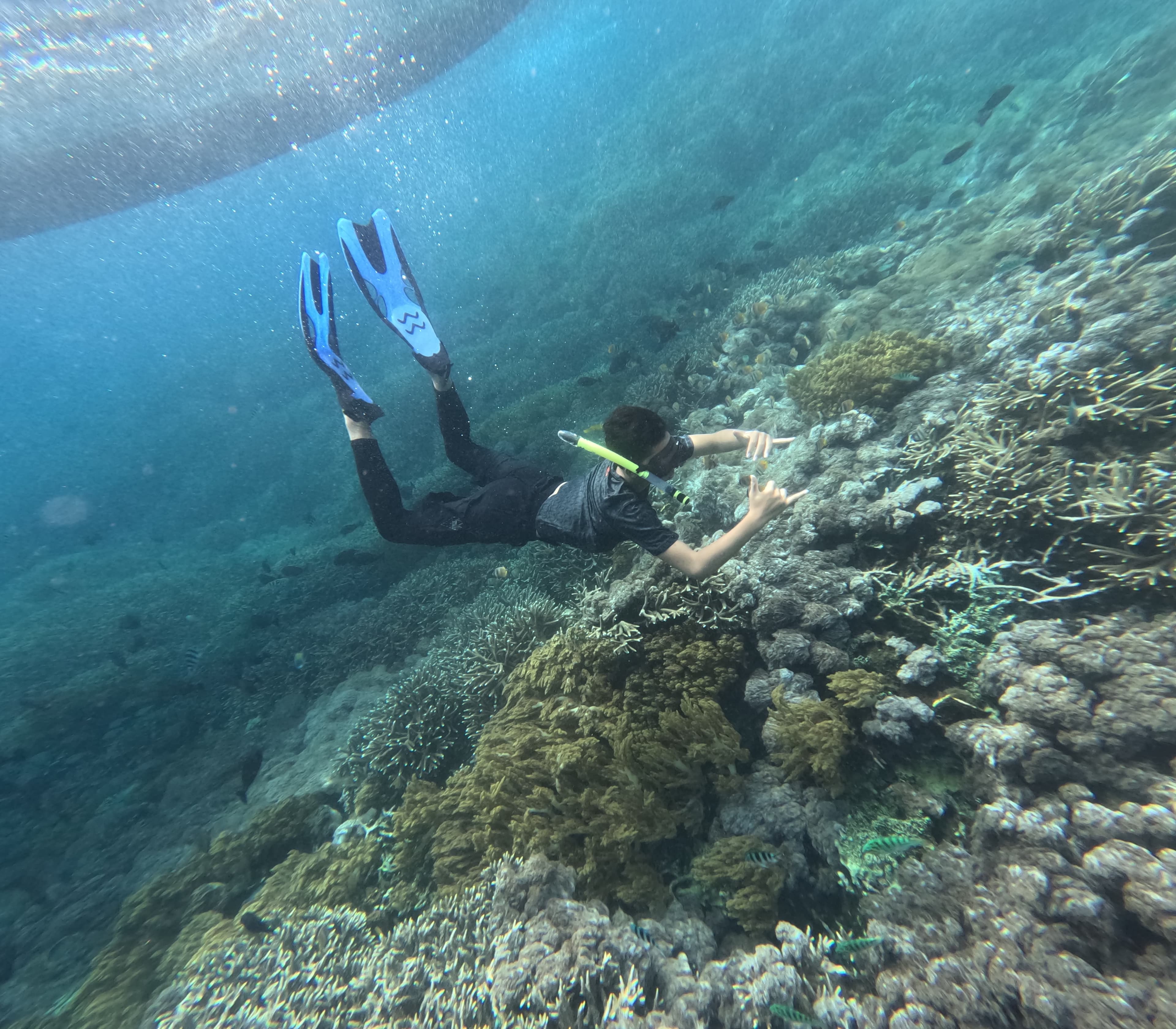 4 Point Snorkeling Safari