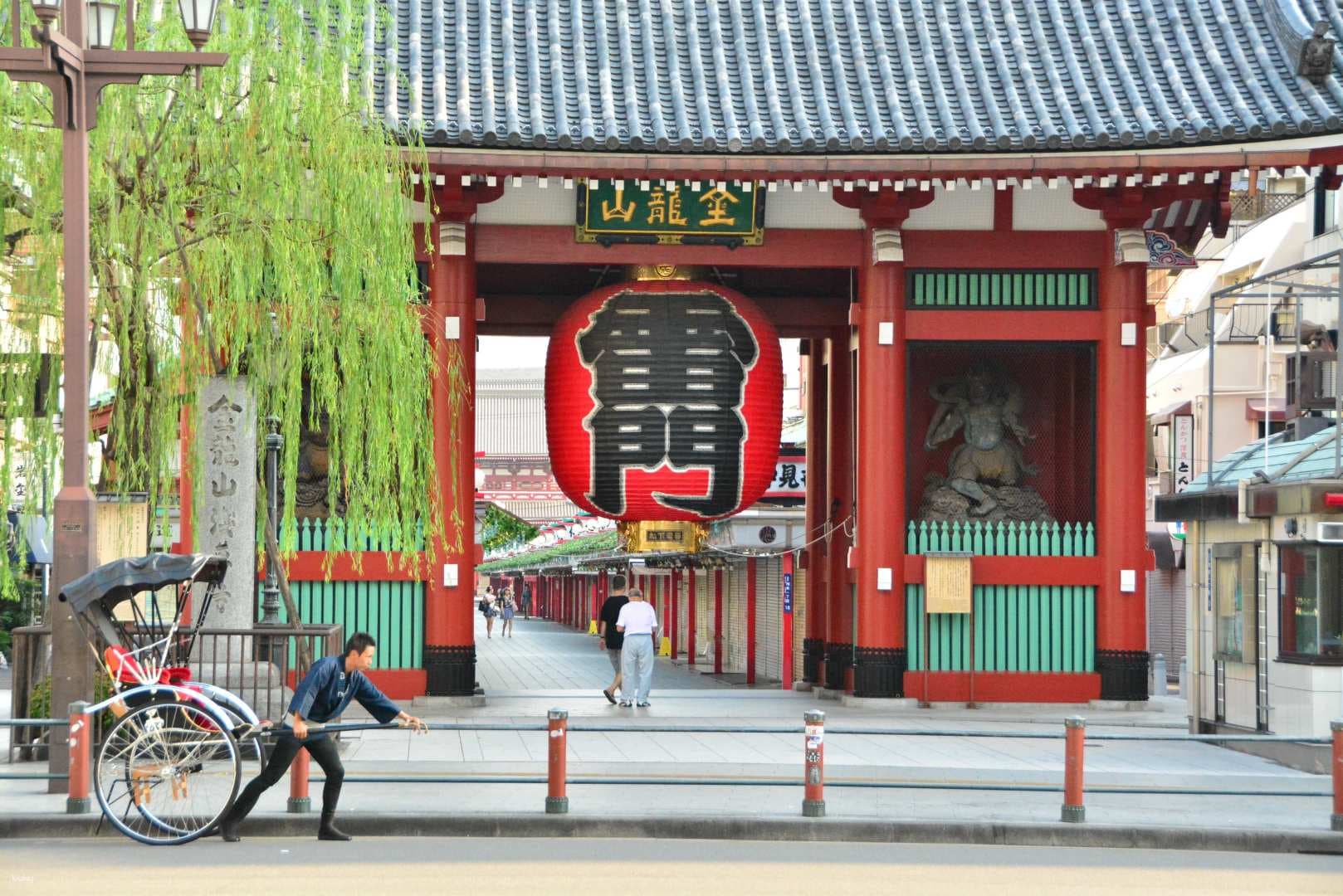 Tour in risciò Edo/Asakusa/Skytree