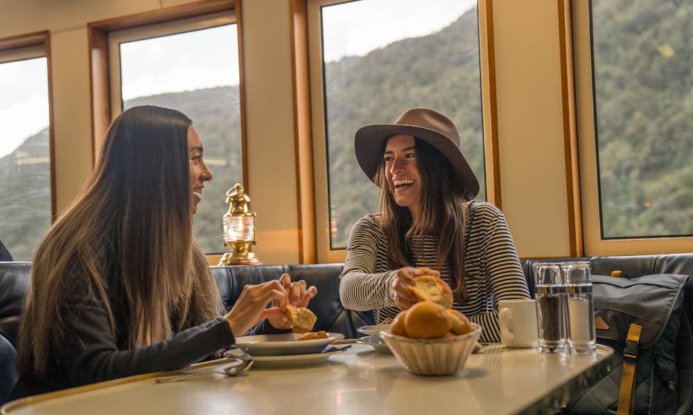 Doubtful Sound Overnight Cruise and Coach from Manapouri