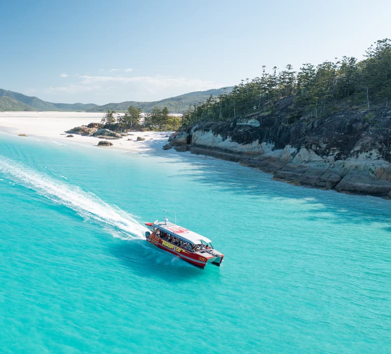 Airlie Beach: Whitehaven Full-Day Eco-Cruise with Buffet