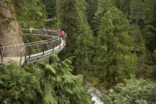 Vancouver City and Capilano Suspension Bridge tour with Lunch