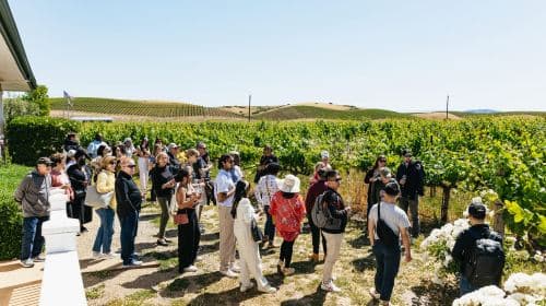 San Francisco: Napa and Sonoma Valley Wine Tour Day Tours