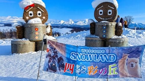 Hokkaido Asahiyama Zoo & Wodospad & Instagramowa Choinka & Elf Stream / Wycieczka jednodniowa z przewodnikiem w języku chińskim lub angielskim