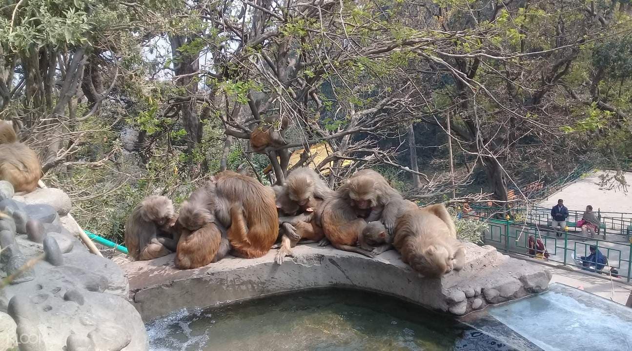 Morning Cultural Walking Tour