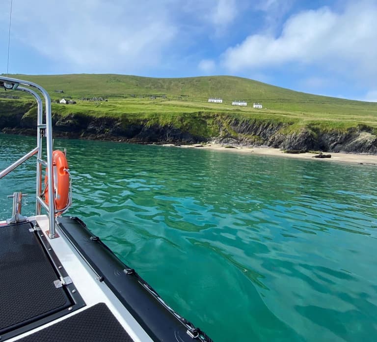 Dingle: Wonders of Blasket Islands Sea Life Boat Tour