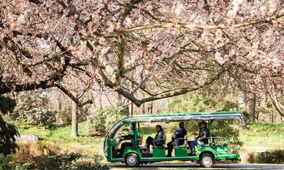 Christchurch Botanical Gardens Tour